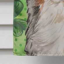 Load image into Gallery viewer, Australian Shepherd St. Patrick's Flag Canvas House Size BB9537CHF