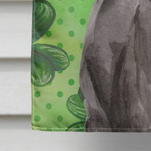 Load image into Gallery viewer, Black Labrador St. Patrick's Flag Canvas House Size BB9538CHF