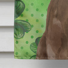 Load image into Gallery viewer, Chocolate Labrador St. Patrick's Flag Canvas House Size BB9540CHF
