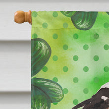 Load image into Gallery viewer, Tricolor Cavalier Spaniel St. Patrick's Flag Canvas House Size BB9542CHF