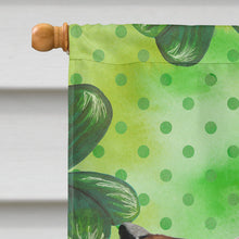 Load image into Gallery viewer, Red Tan Dachshund St. Patrick's Flag Canvas House Size BB9546CHF