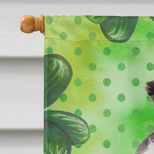 Load image into Gallery viewer, Border Collie St. Patrick's Flag Canvas House Size BB9548CHF
