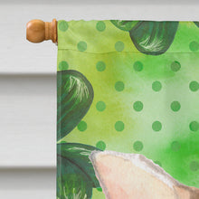 Load image into Gallery viewer, Chihuahua St. Patrick's Flag Canvas House Size BB9551CHF