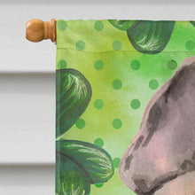 Load image into Gallery viewer, Fawn French Bulldog St. Patrick's Flag Canvas House Size BB9557CHF