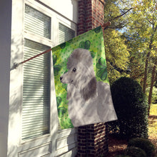 Load image into Gallery viewer, Grey Standard Poodle St. Patrick's Flag Canvas House Size BB9560CHF