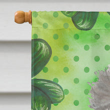 Load image into Gallery viewer, Grey Standard Poodle St. Patrick's Flag Canvas House Size BB9560CHF