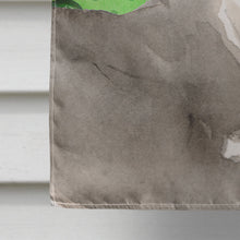 Load image into Gallery viewer, Italian Greyhound St. Patrick's Flag Canvas House Size BB9562CHF