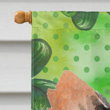 Load image into Gallery viewer, Long Haired Chihuahua St. Patrick's Flag Canvas House Size BB9564CHF