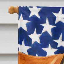 Load image into Gallery viewer, Boerboel Mastiff Patriotic Flag Canvas House Size BB9646CHF