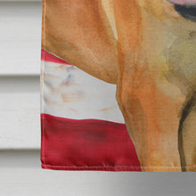 Load image into Gallery viewer, Boerboel Mastiff Patriotic Flag Canvas House Size BB9646CHF