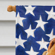Load image into Gallery viewer, Fox Terrier Patriotic Flag Canvas House Size BB9650CHF