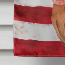 Load image into Gallery viewer, Miniature Pinscher Patriotic Flag Canvas House Size BB9656CHF