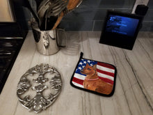 Load image into Gallery viewer, Miniature Pinscher Patriotic Pot Holders - Set of 2 - Heat-Resistant Kitchen Essentials BB9656PTHD