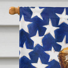 Load image into Gallery viewer, Small Brabant Griffon Patriotic Flag Canvas House Size BB9667CHF
