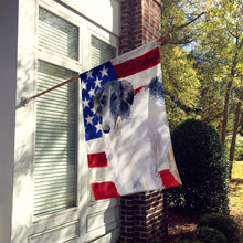Load image into Gallery viewer, Borzoi Patriotic Flag Canvas House Size BB9672CHF