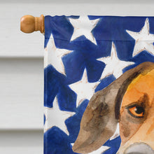 Load image into Gallery viewer, Rhodesian Ridgeback Patriotic Flag Canvas House Size BB9676CHF