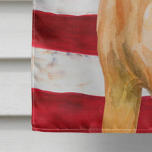 Load image into Gallery viewer, Rhodesian Ridgeback Patriotic Flag Canvas House Size BB9676CHF