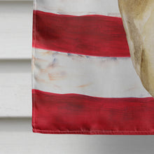Load image into Gallery viewer, Thai Ridgeback Patriotic Flag Canvas House Size BB9680CHF