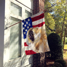 Load image into Gallery viewer, Pekingese Patriotic Flag Canvas House Size BB9681CHF