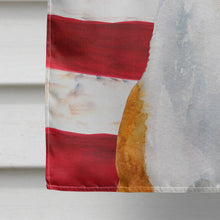 Load image into Gallery viewer, Basenji Patriotic Flag Canvas House Size BB9692CHF