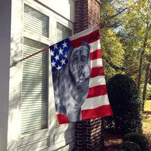 Load image into Gallery viewer, Cane Corso Patriotic Flag Canvas House Size BB9694CHF