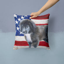 Load image into Gallery viewer, Newfoundland Puppy Patriotic Throw Pillow - 14x14 Decorative Pillow – Art for Your Home &amp; Patio BB9699PW1414