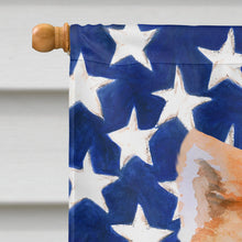 Load image into Gallery viewer, Akita Patriotic Flag Canvas House Size BB9703CHF