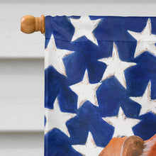 Load image into Gallery viewer, Red Dachshund Patriotic Flag Canvas House Size BB9707CHF