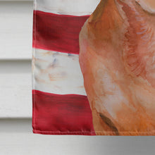 Load image into Gallery viewer, Red Dachshund Patriotic Flag Canvas House Size BB9707CHF