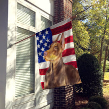 Load image into Gallery viewer, Doberman Pinscher Patriotic Flag Canvas House Size BB9709CHF