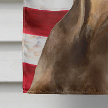 Load image into Gallery viewer, Doberman Pinscher Patriotic Flag Canvas House Size BB9709CHF