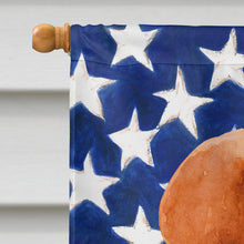 Load image into Gallery viewer, Labrador Retriever Patriotic Flag Canvas House Size BB9714CHF
