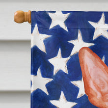 Load image into Gallery viewer, Pharaoh Hound Patriotic Flag Canvas House Size BB9715CHF