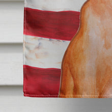 Load image into Gallery viewer, Pharaoh Hound Patriotic Flag Canvas House Size BB9715CHF