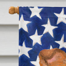 Load image into Gallery viewer, Sheltie Patriotic Flag Canvas House Size BB9720CHF