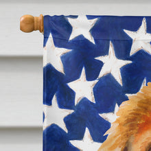 Load image into Gallery viewer, Tibetan Mastiff Patriotic Flag Canvas House Size BB9721CHF