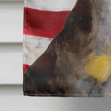 Load image into Gallery viewer, Miniature Pinscher #2 Patriotic Flag Canvas House Size BB9724CHF