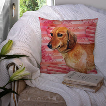 Load image into Gallery viewer, Dachshund Love Throw Pillow - 14x14 Decorative Pillow – Art for Your Home &amp; Patio BB9739PW1414