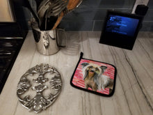 Load image into Gallery viewer, Chinese Crested Love Pot Holders - Set of 2 - Heat-Resistant Kitchen Essentials BB9746PTHD