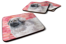 Load image into Gallery viewer, Moscow Watchdog Love Foam Coaster  BB9760FC