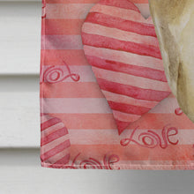 Load image into Gallery viewer, Thai Ridgeback Love Flag Canvas House Size BB9767CHF