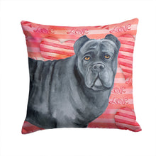 Load image into Gallery viewer, Cane Corso Love Throw Pillow - 14x14 Decorative Pillow – Art for Your Home &amp; Patio BB9781PW1414