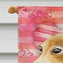 Load image into Gallery viewer, Italian Greyhound Love Flag Canvas House Size BB9785CHF