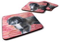 Load image into Gallery viewer, Newfoundland Puppy Love Foam Coaster  BB9786FC