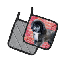 Load image into Gallery viewer, Newfoundland Puppy Love Pot Holders - Set of 2 - Heat-Resistant Kitchen Essentials BB9786PTHD