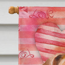 Load image into Gallery viewer, Jack Russell Terrier #2 Love Flag Canvas House Size BB9800CHF