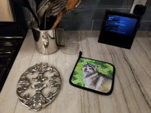 Load image into Gallery viewer, Alaskan Malamute St Patrick's Pot Holders - Set of 2 - Heat-Resistant Kitchen Essentials BB9812PTHD