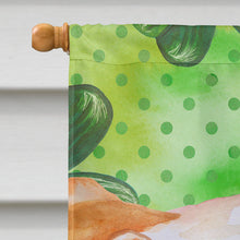 Load image into Gallery viewer, English Bulldog St Patrick's Flag Canvas House Size BB9813CHF