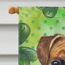 Load image into Gallery viewer, German Boxer St Patrick's Flag Canvas House Size BB9814CHF