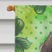Load image into Gallery viewer, German Shorthaired Pointer St Patrick's Flag Canvas House Size BB9815CHF